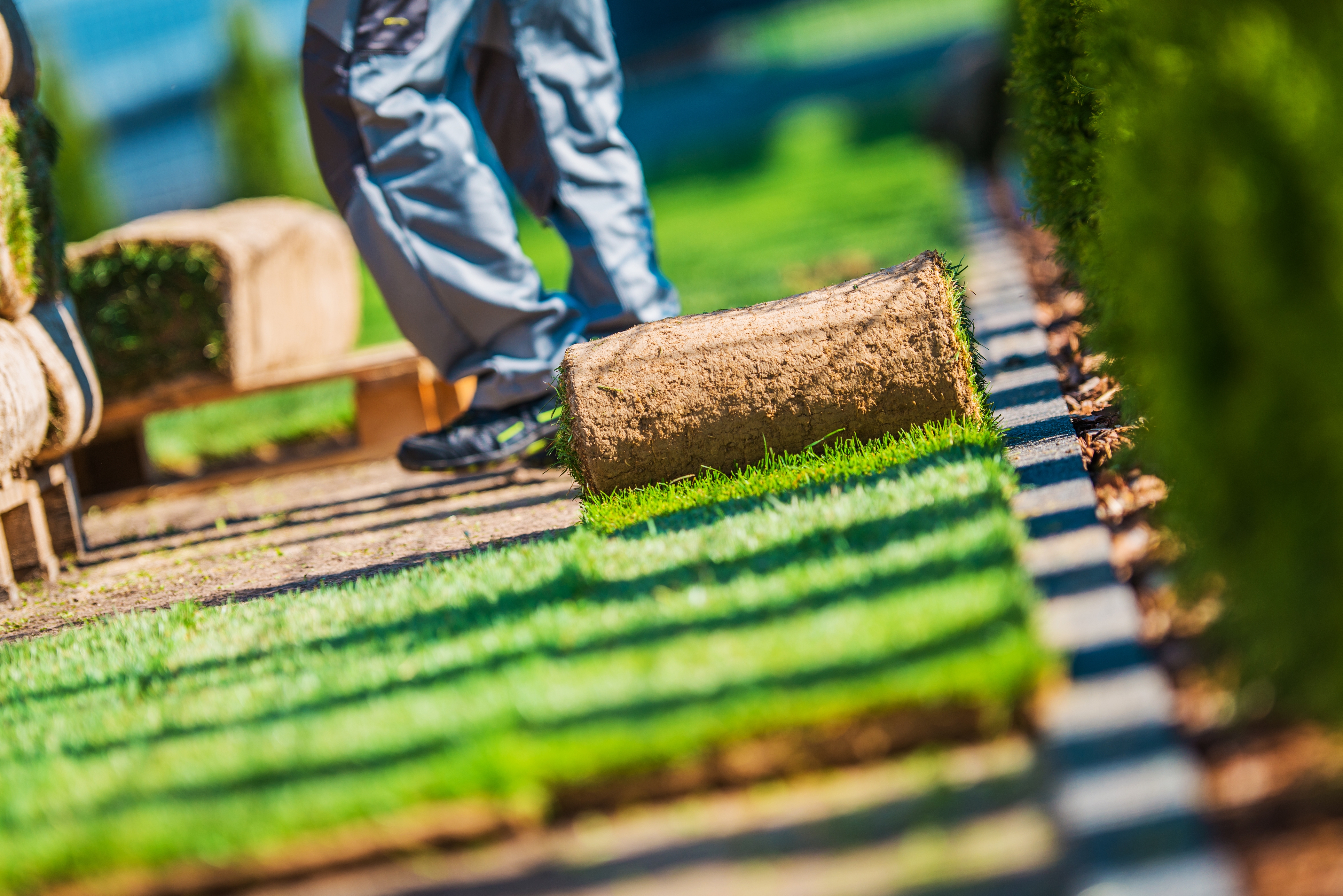 Grass Turfs Installation Work